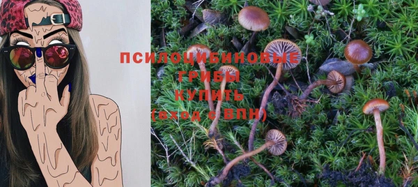 круглые Алзамай