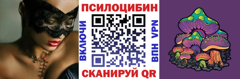 магазин продажи наркотиков  Бокситогорск  Псилоцибиновые грибы мицелий 