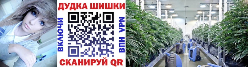 Шишки марихуана гибрид  Бокситогорск 